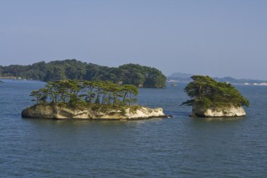 Matsushima peyzaj