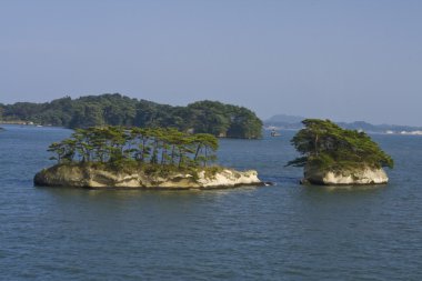 Matsushima landscape clipart
