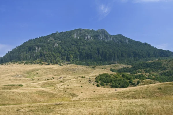 Montagna di Gutin — Foto Stock