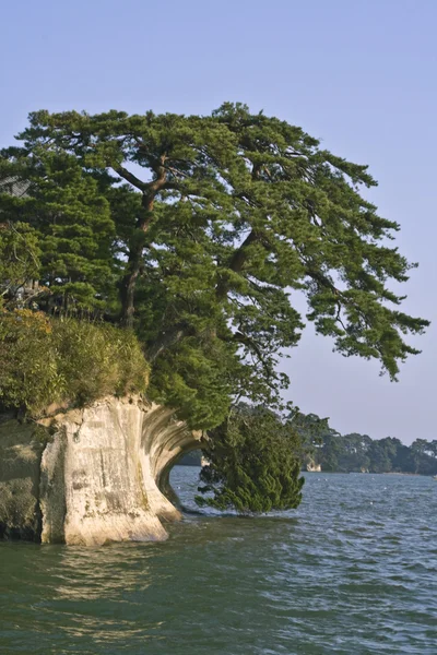 Matsushima extreme landscape