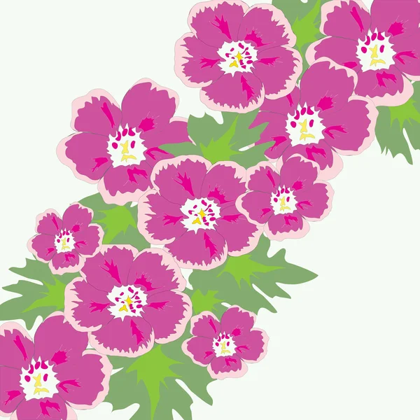 Fleurs roses — Image vectorielle