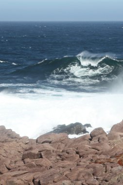 kayalık sahil ve kayalıklarla, cape spear, newfoundland