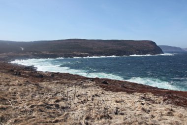 kayalık sahil ve kayalıklarla, cape spear, newfoundland