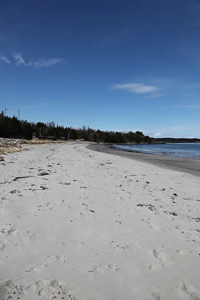 Písečná pláž krajina ve venkovských newfoundland — Stock fotografie