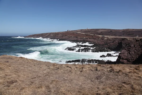 Rotsachtige strand en kliffen, cape spear, newfoundland — Stockfoto