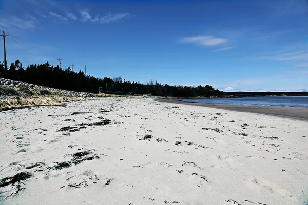 Kırsal newfoundland kumlu plaj manzara — Stok fotoğraf