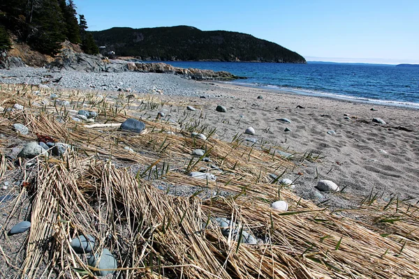 Sandy Beach Paisaje en Terranova Rural — Foto de Stock