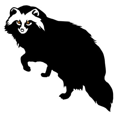 Raccoon dog (Nyctereutes procyonides) clipart