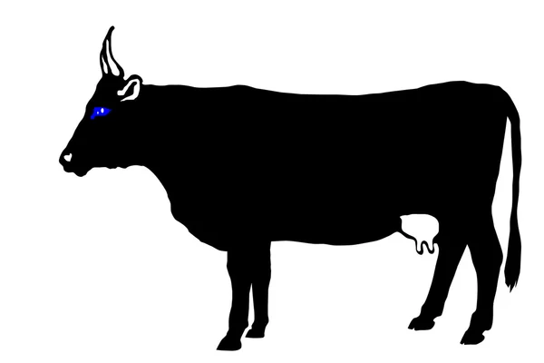 Kuh auf weißem Hintergrund — Stockvektor