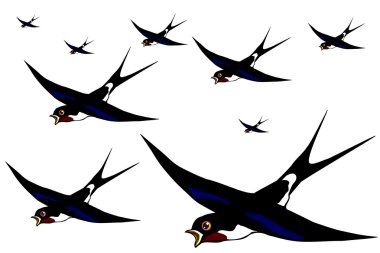 Flight of swallows clipart