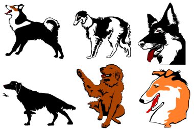 Dogs collection vector eps10 clipart