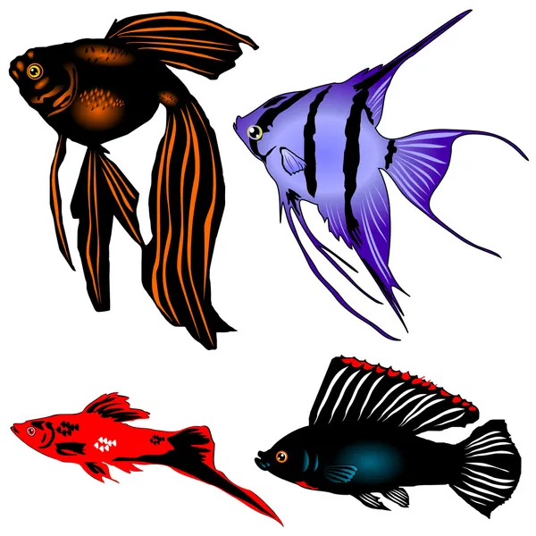 Collection aquarian fishes — Stock Vector