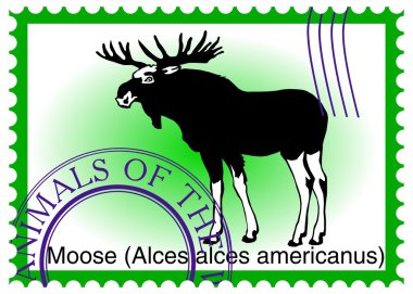 Vektör damga geyik (Alces alces americanus ile)