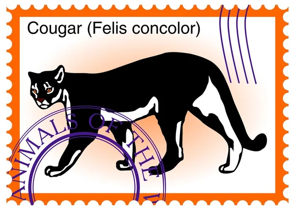 Vector stempel met cougar (Felis concolor) — Stockvector