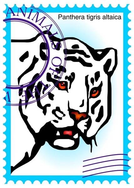 Timbro vettoriale con tigre (Panthera tigris altaica ) — Vettoriale Stock