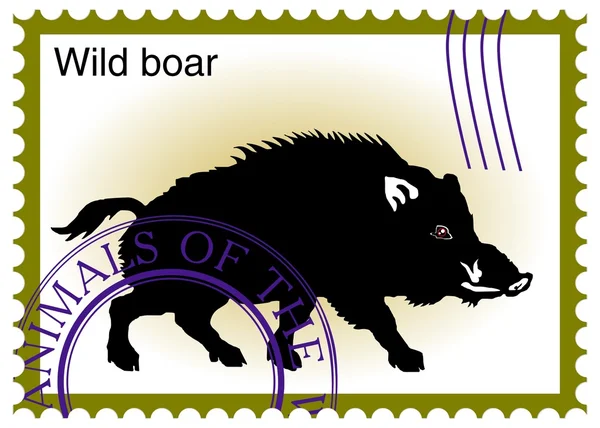 Ector stamp with "wild boar" — Stock Vector