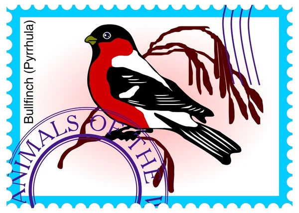 矢量邮票与鸟"红腹灰雀 (pyrrhula)" — 图库矢量图片