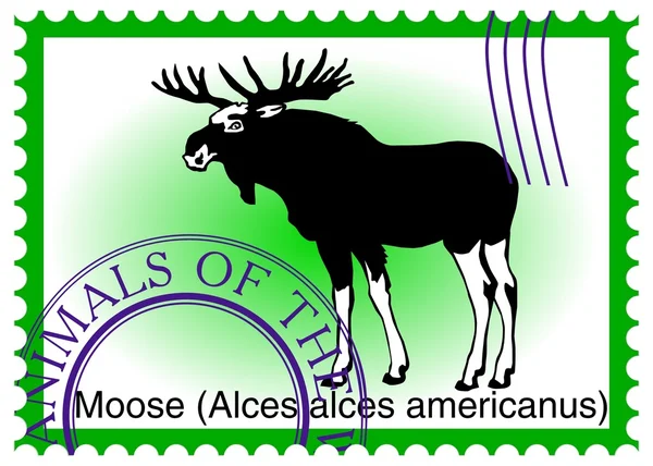 Vector stamp with moose (Alces alces americanus) — Stock Vector