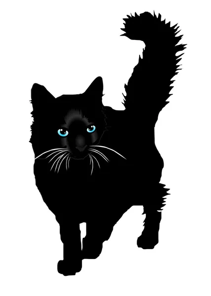 Чорний кіт силует з кольоровими очима вектор — стоковий вектор