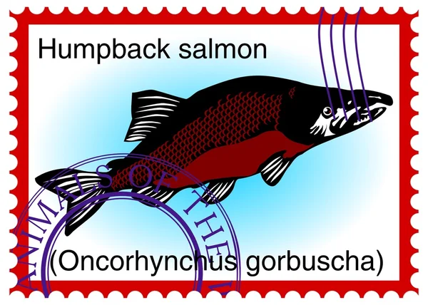 Stamp fish "humpback salmon (Oncorhynchus gorbuscha)" — Stock Vector