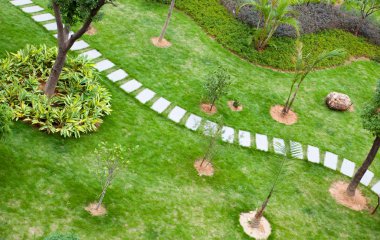 Stepping stones through a tranquil garden clipart