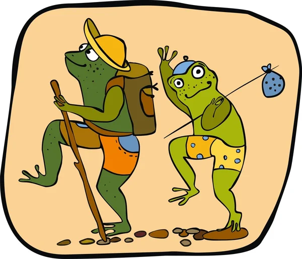 Two frogs — Stock Vector