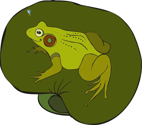 Frosch auf Seerose — Stockvektor