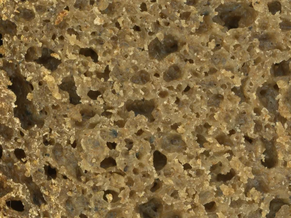 Brown bread surface — Stock Photo, Image