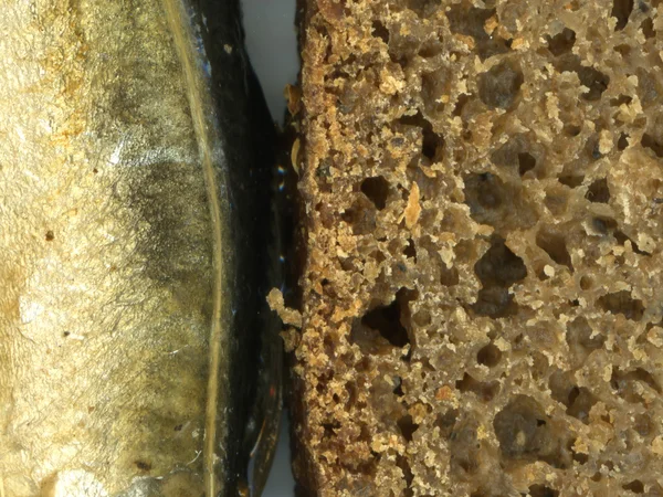 Brązowy chleb i ryby — Zdjęcie stockowe