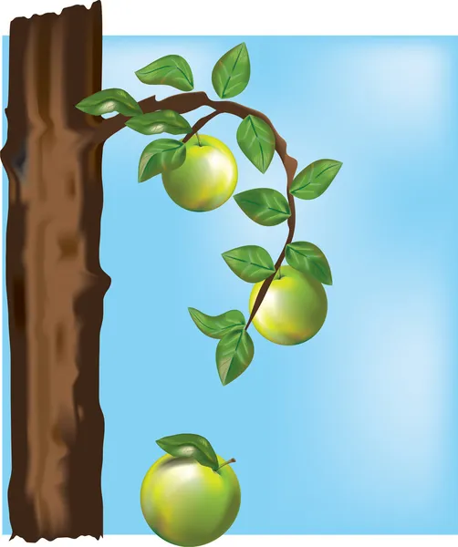 Elma ağacı — Stok Vektör