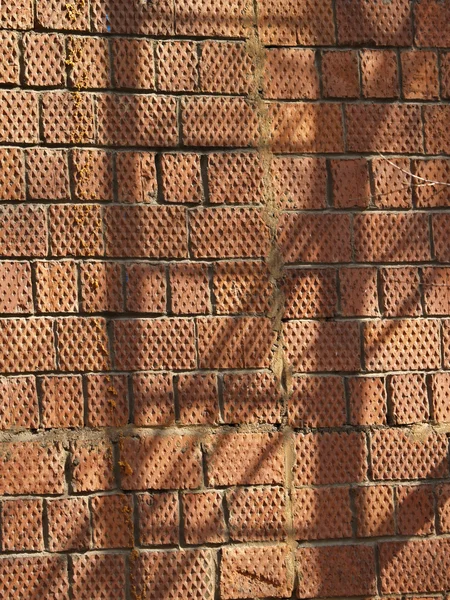 Escalera de sombra — Stok fotoğraf