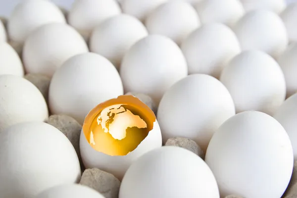 Землі в яйці — стокове фото