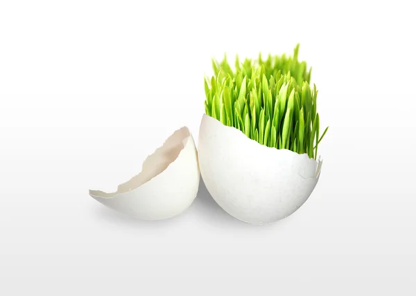 Grünes Gras im Ei — Stockfoto