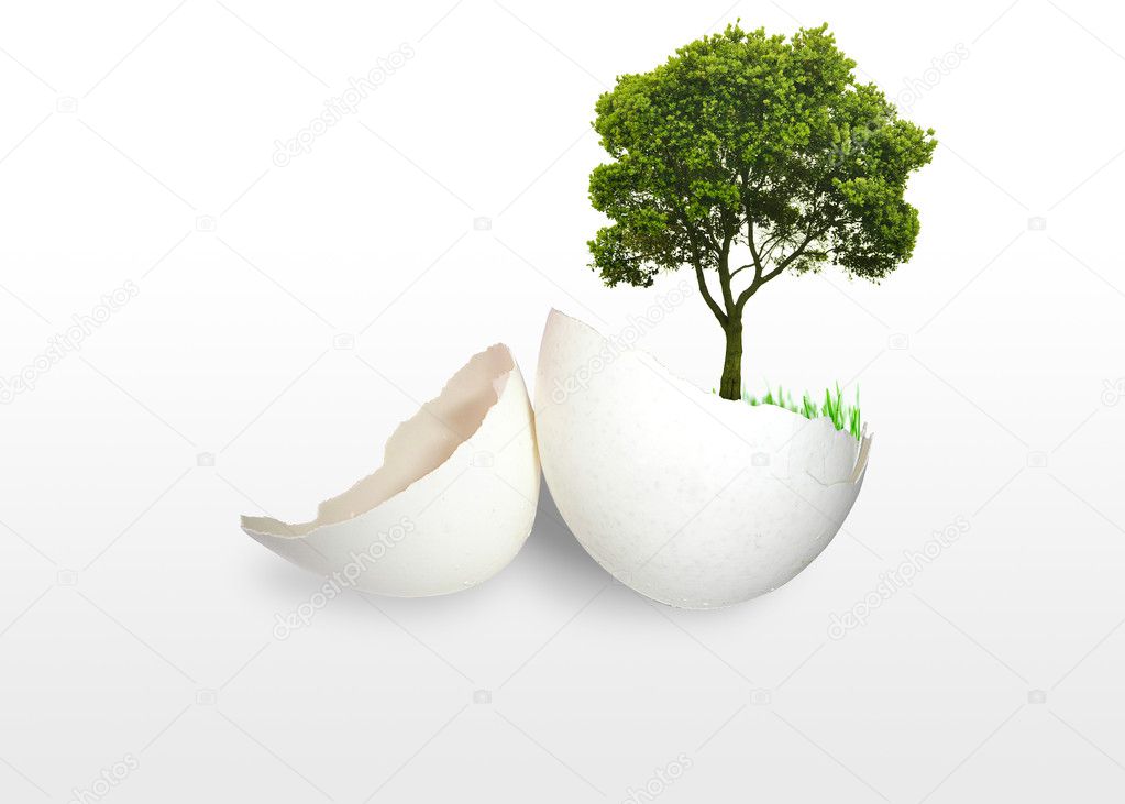 Green tree in egg