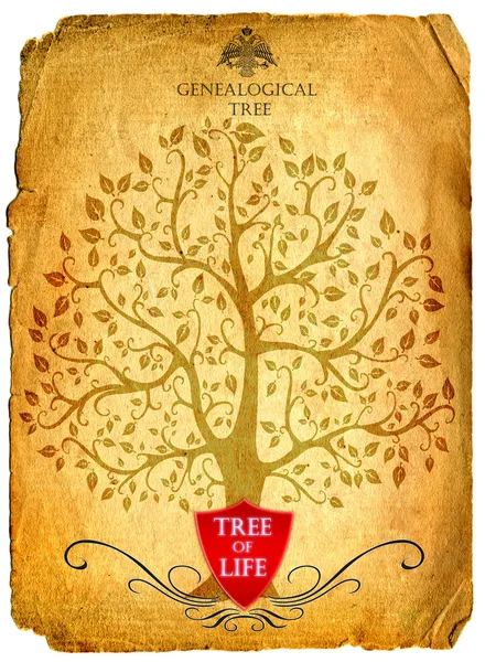 Tree of life — Stock Photo, Image
