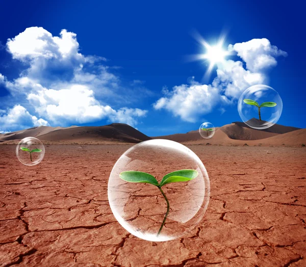 Water zeepbel in dorre bodem woestijn — Stockfoto