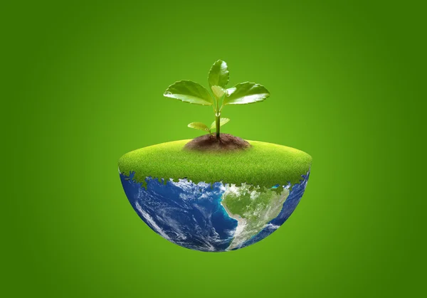 生态绿色 — 图库照片