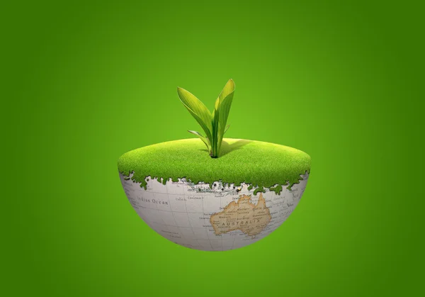 植物地球 — 图库照片