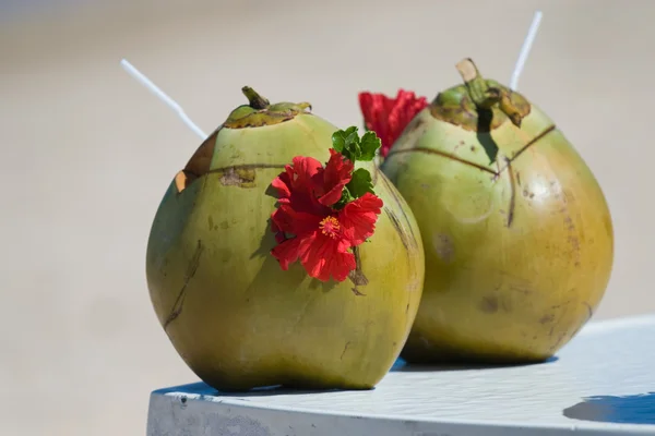 Hindistan cevizi sütü bir plajda