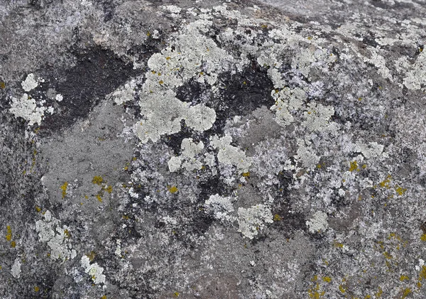 Granite stone with moss — Stock Photo, Image