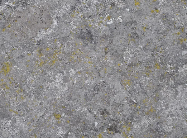 Granite stone with moss