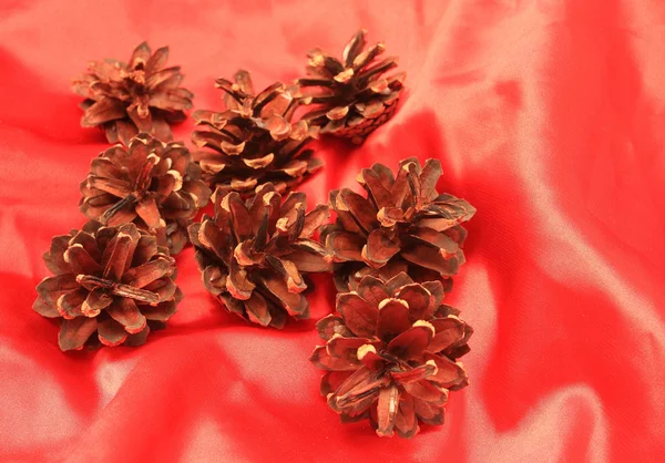 Conos de pino sobre un fondo satinado rojo —  Fotos de Stock