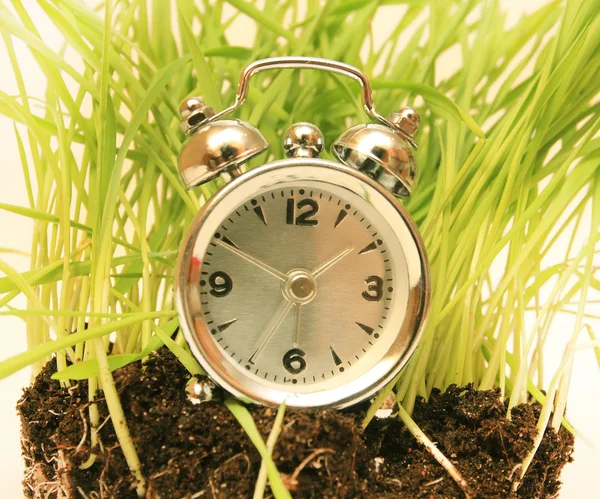 Hours per green wheat — Stock Photo, Image