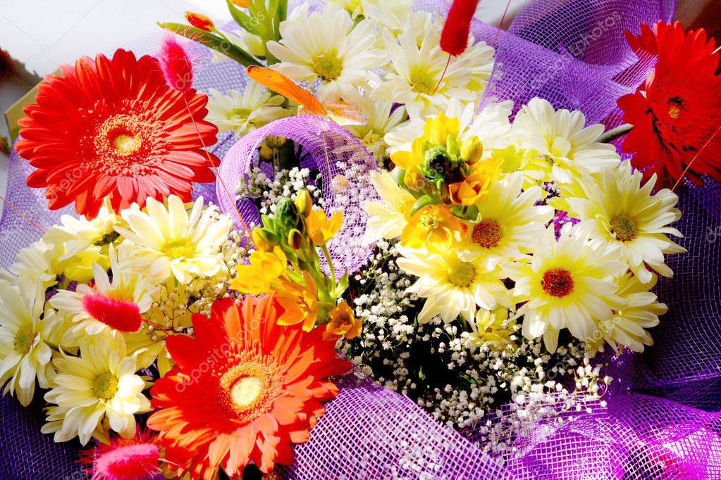 Beautiful bunch of flowers — Stock Photo © Zhil-anna #2879275