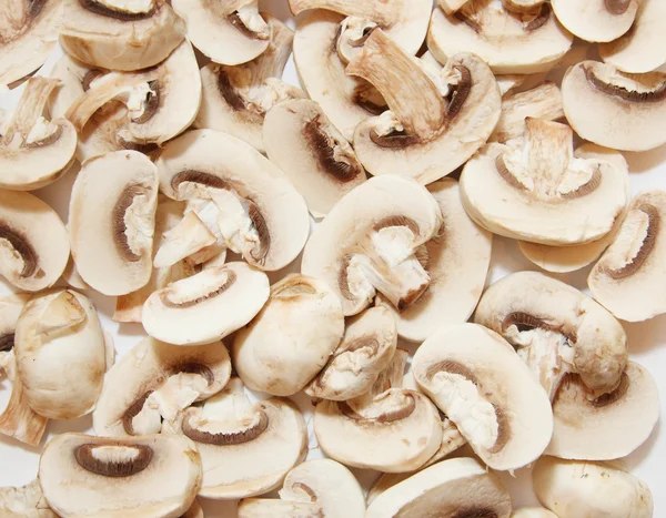 stock image Background from field mushrooms