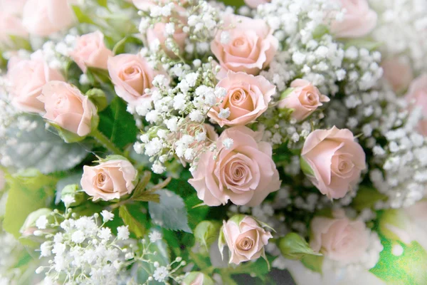 Bouquet of gently pink roses — Stock Photo, Image
