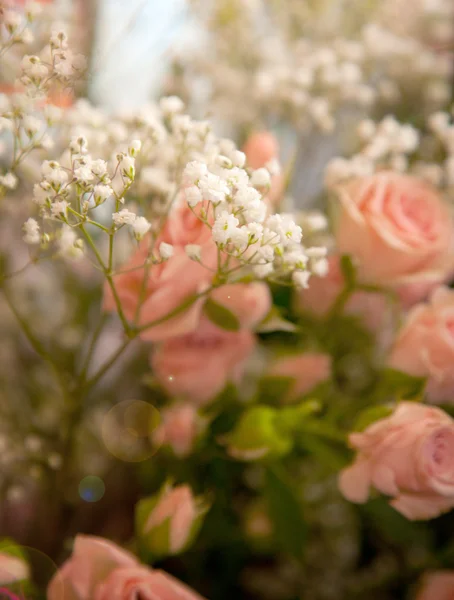 Bouquet of pink roses malenkiz — Stock Photo, Image