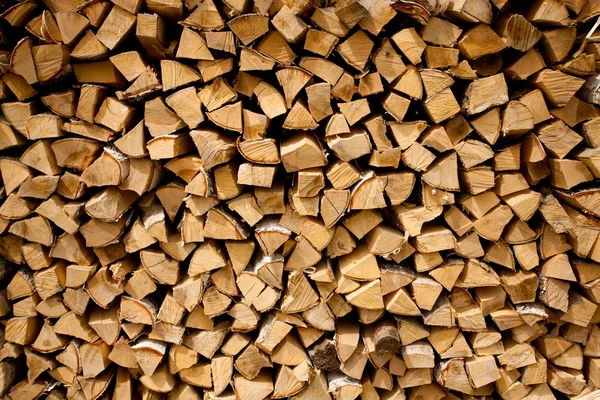 Structure de bois de feu de bouleau sec — Photo