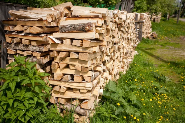Structuur van droge berk brandhout — Stockfoto