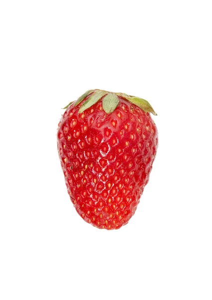 stock image One strawberry